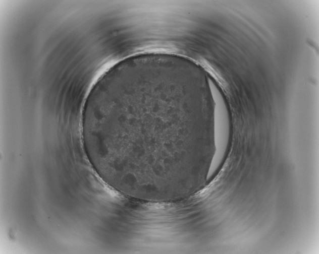 X0000095541240200712281537