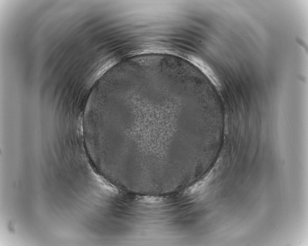 X0000095541241200712281537