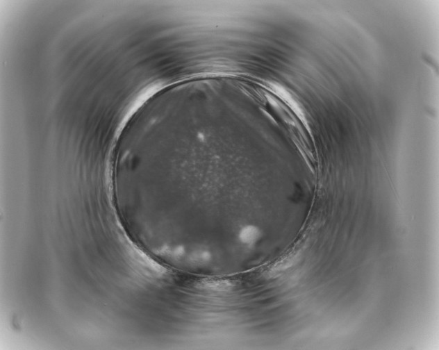 X0000095541243200712281537