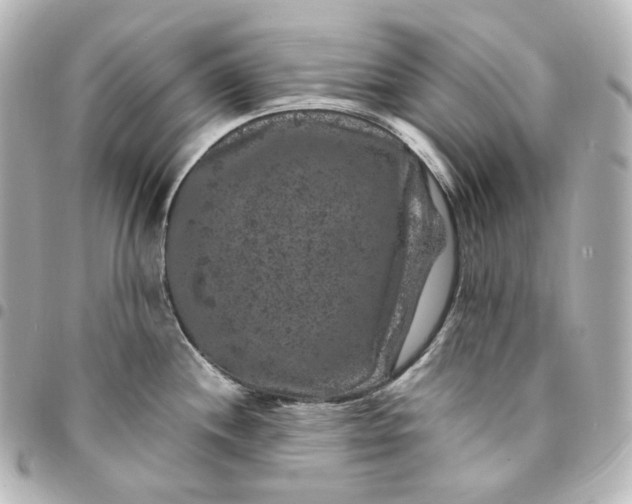 X0000095541244200712281537