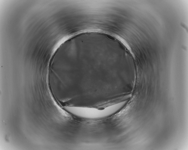 X0000095541245200712281537