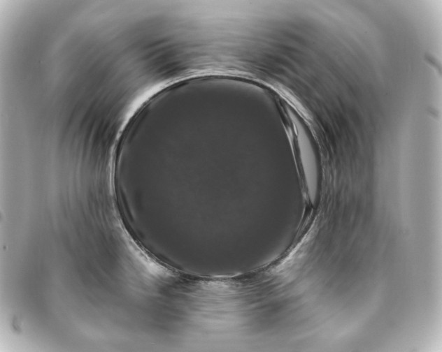 X0000095541246200712281537