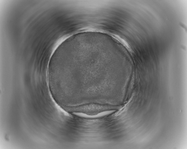 X0000095541247200712281537