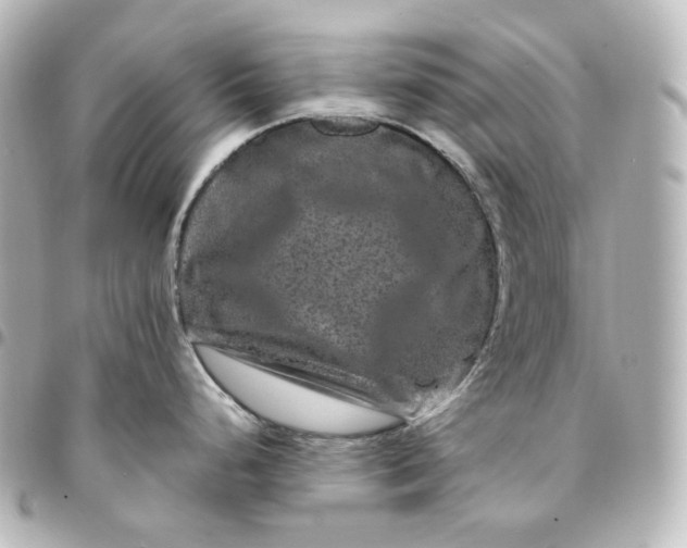 X0000095541248200712281537