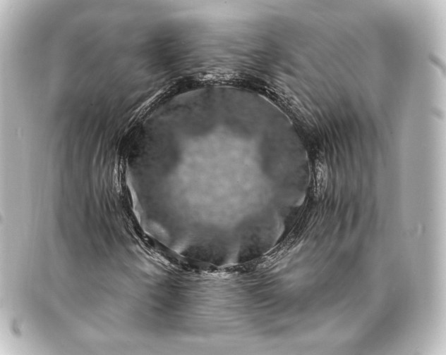 X0000095541250200712281536