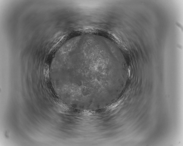 X0000095541251200712281536