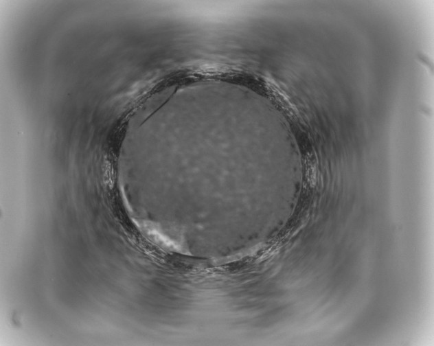 X0000095541253200712281536