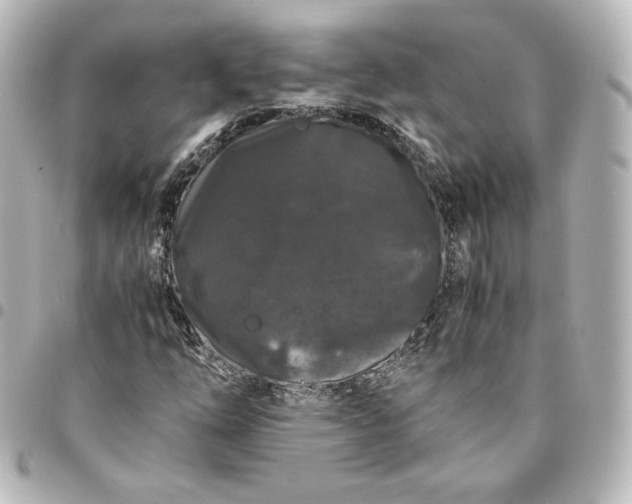 X0000095541254200712281536