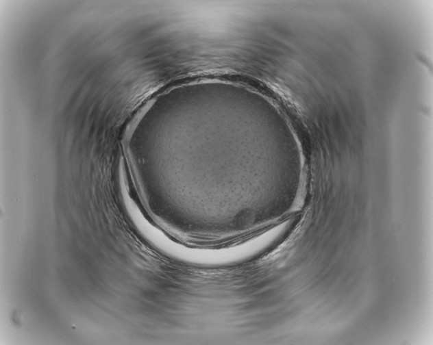 X0000095541257200712281536