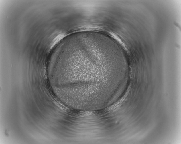 X0000095541259200712281536