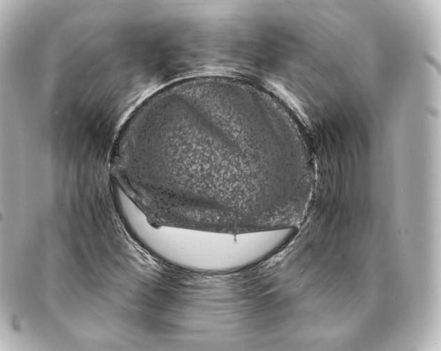 X0000095541260200712281536