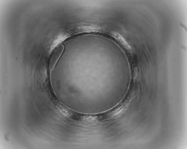 X0000095541261200712281536