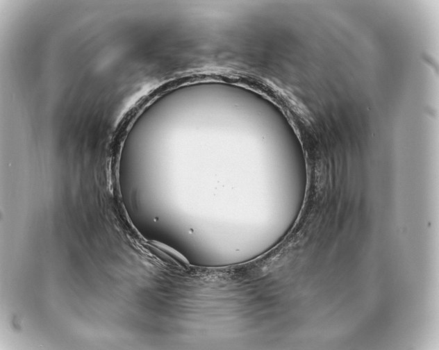 X0000095541262200712281536