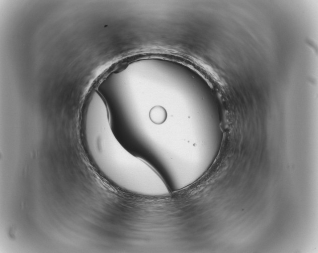 X0000095541264200712281536