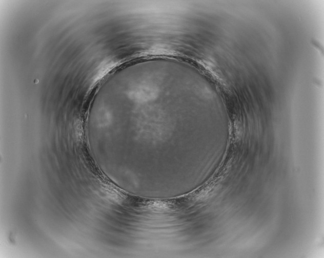 X0000095541266200712281536