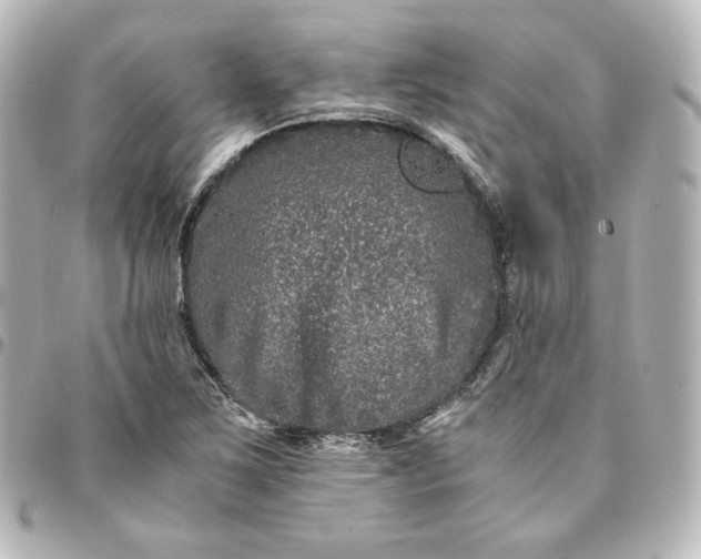 X0000095541267200712281536