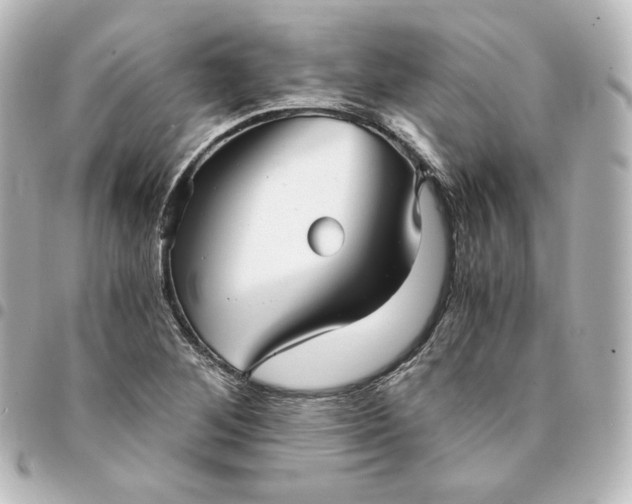 X0000095541268200712281536