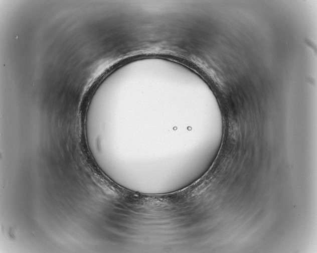 X0000095541270200712281536