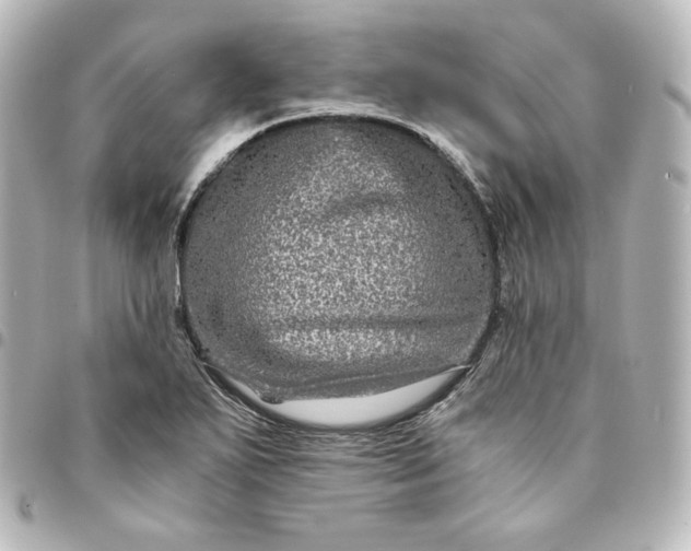 X0000095541271200712281536