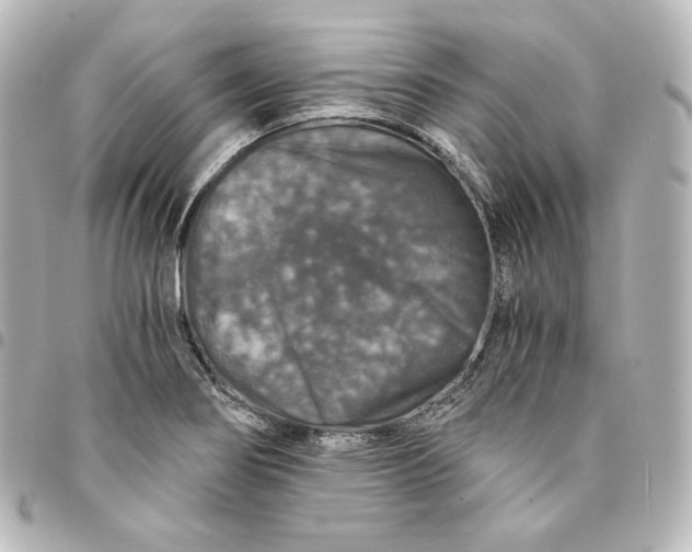 X0000095541274200712281536