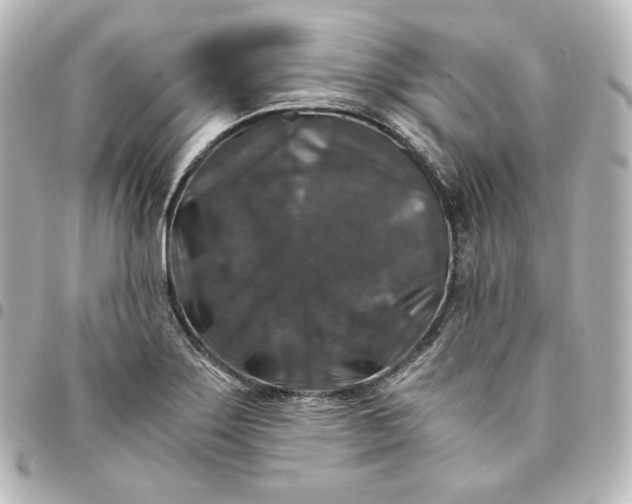 X0000095541275200712281536