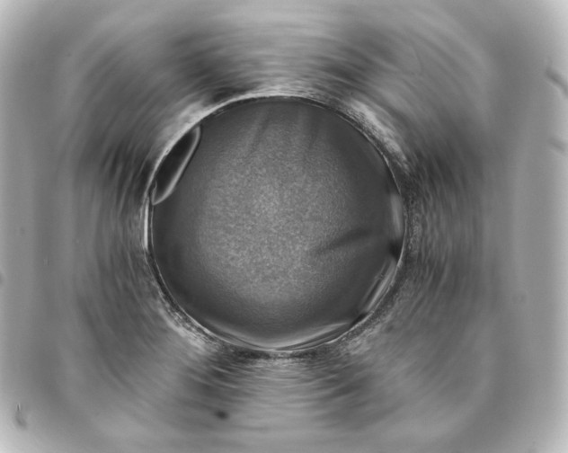 X0000095541276200712281536