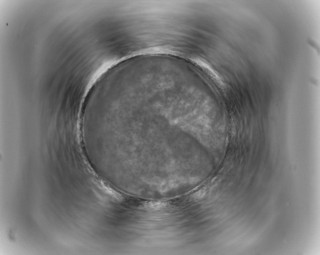 X0000095541278200712281536