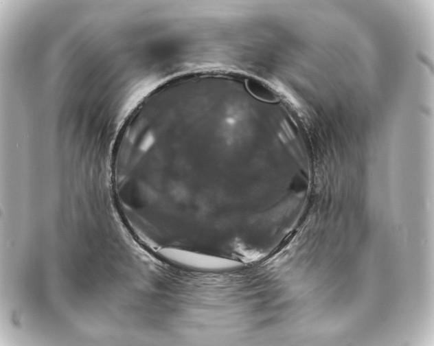 X0000095541279200712281536