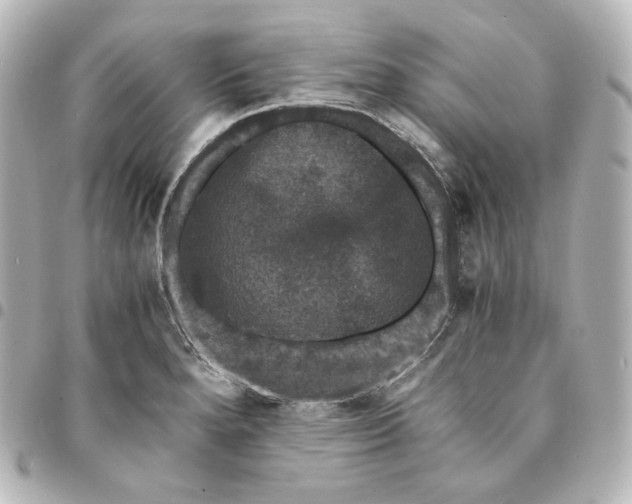 X0000095541280200712281535