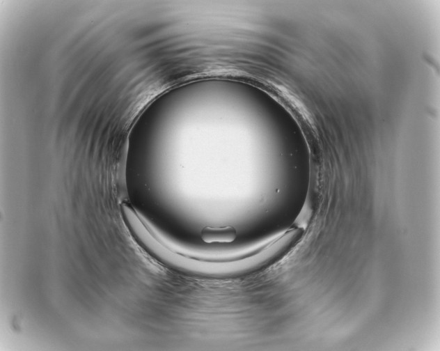 X0000095541281200712281535