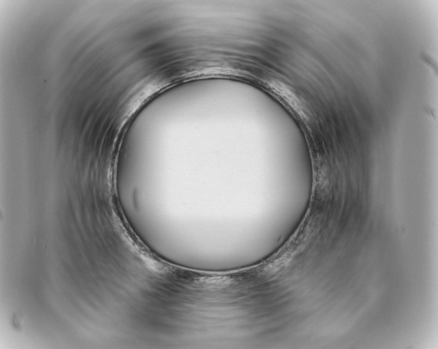 X0000095541282200712281535