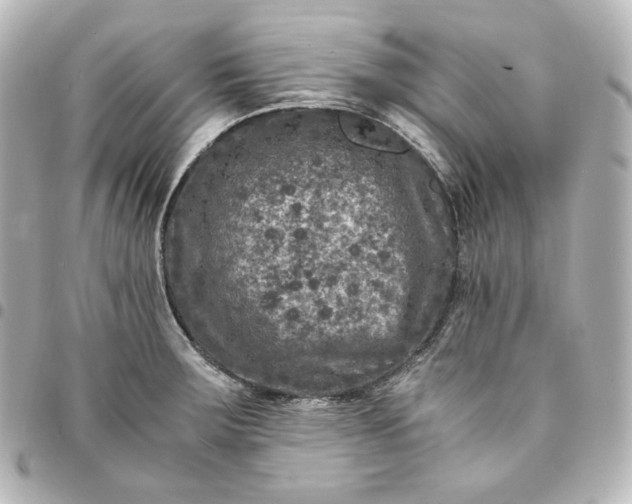 X0000095541283200712281535