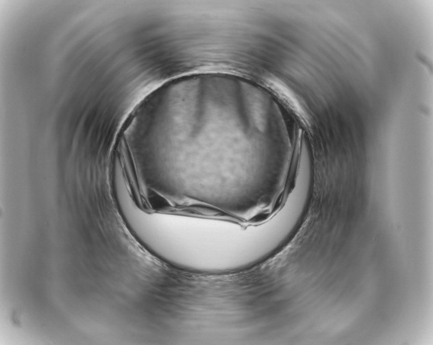 X0000095541284200712281535