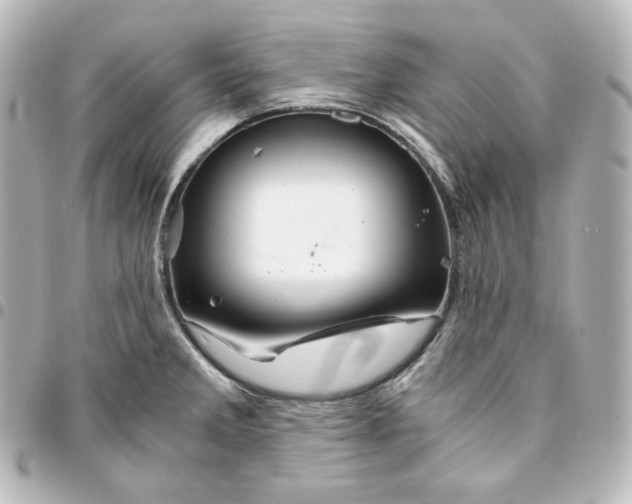 X0000095541285200712281535