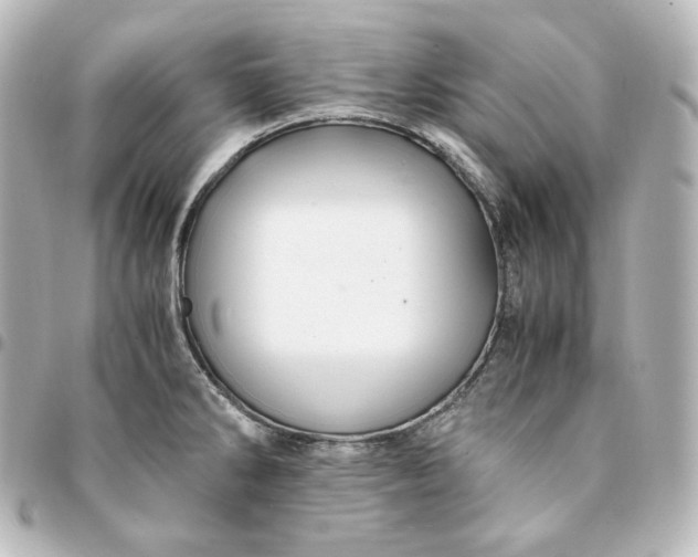 X0000095541286200712281535