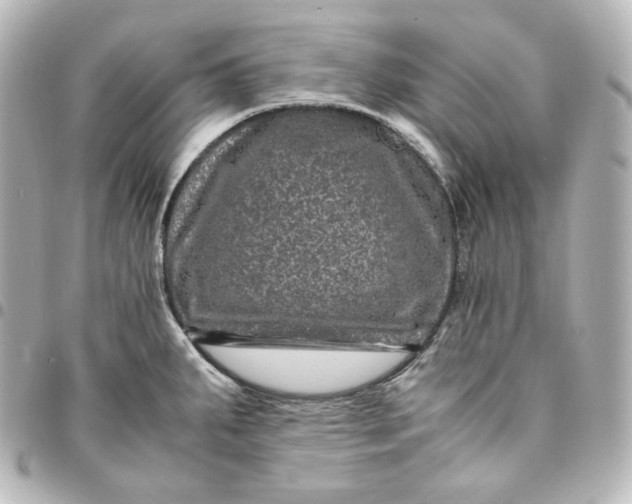 X0000095541287200712281535