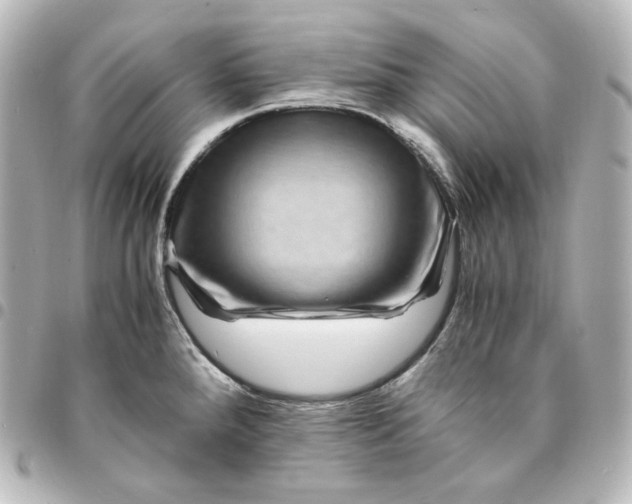 X0000095541288200712281535