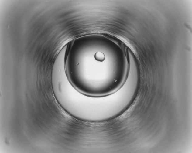 X0000095541289200712281535