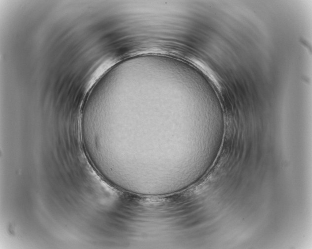 X0000095541290200712281535