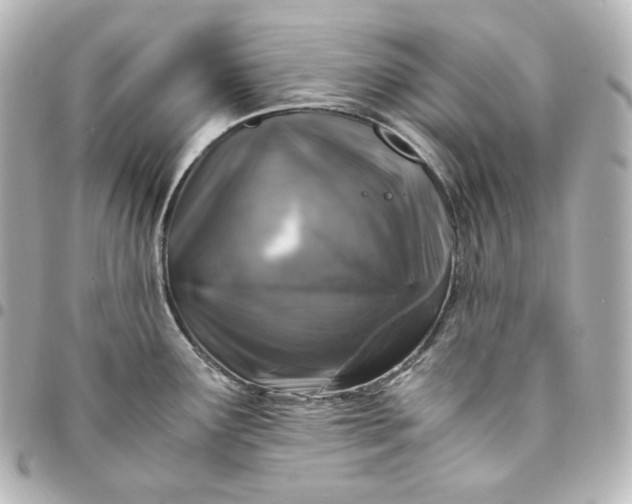 X0000095541291200712281535