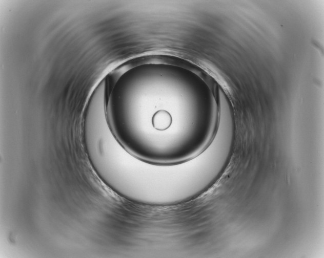 X0000095541292200712281535