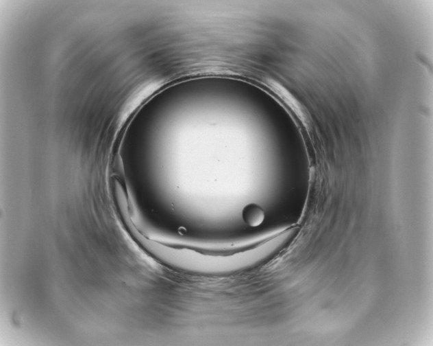 X0000095541293200712281535