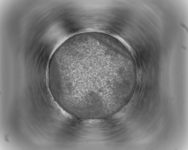 X0000095541294200712281535