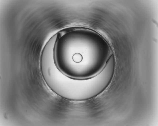 X0000095541296200712281535