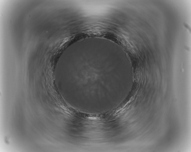 X0000095541297200712281535