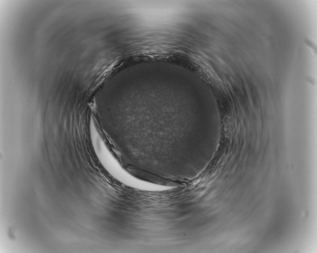 X0000095541298200712281535