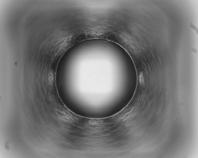 X0000095541299200712281535