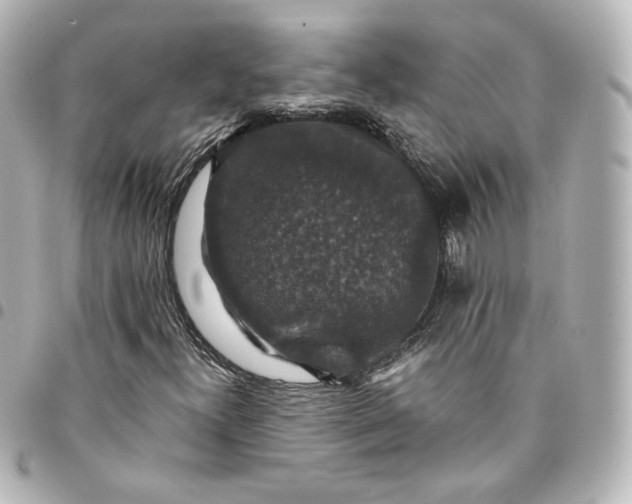 X0000095541300200712281535