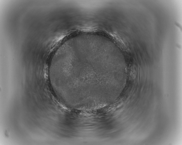 X0000095541301200712281535