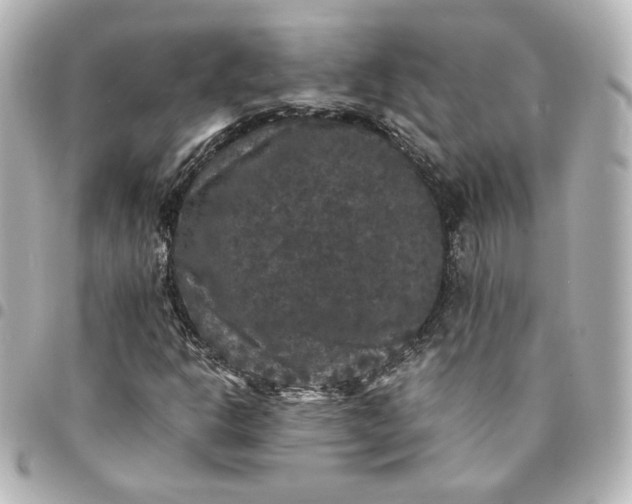 X0000095541302200712281535